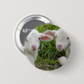Doppellamm-Baby-Tierdenken an Sie Button (Vorne & Hinten)