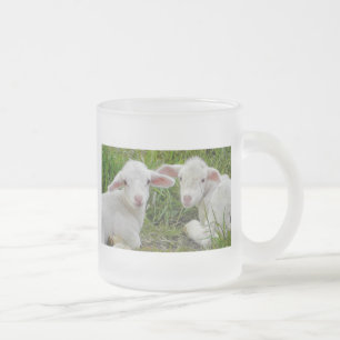 Doppellamm-Baby-Tierdenken an Sie Mattglastasse