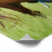 Doppelpferde Poster (Ecke)