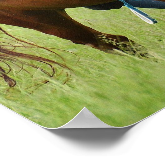 Doppelpferde Poster (Ecke)