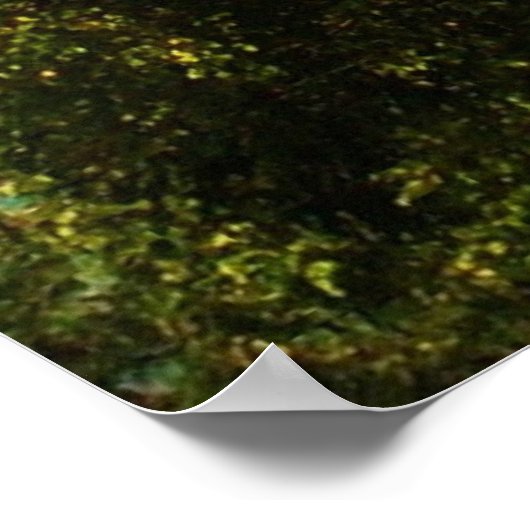 DOPPELRAINBOINBOINBOURT POSTER (Ecke)