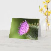 Doppelrosa Kirschblüten im Begrüßungsfrühling Karte (Gelbe Blume)