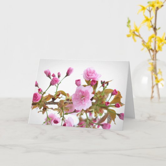 Doppelrosa Kirschblüten im Begrüßungsfrühling Karte (Gelbe Blume)