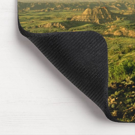 Doppelschleife über dem gestrichenen Canyon in The Mousepad (Ecke)