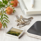 Doppelschleife über dem gestrichenen Canyon in The Schlüsselanhänger (Seite)