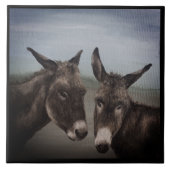 Doppelschlüssel Fliese (Vorderseite)