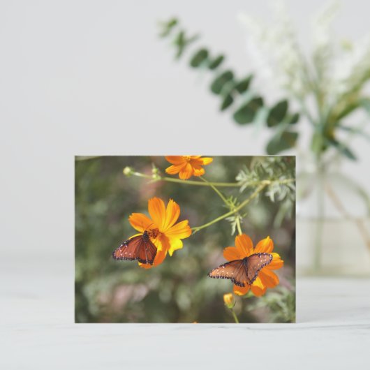 Doppelschmetterling Postkarte (Stehend Vorderseite)