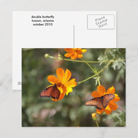 Doppelschmetterling Postkarte (Vorne/Hinten)