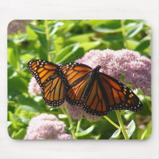 DOPPELschmetterlinge Mousepad (Vorne)