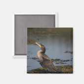 Doppelschnabelkormoran Magnet (Vorderseite/Rückseite)