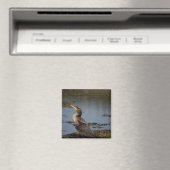 Doppelschnabelkormoran Magnet (In Situ (Geschirrspüler))