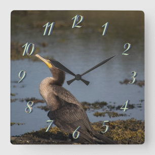 Doppelschnabelkormoran Quadratische Wanduhr