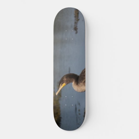 Doppelschnabelkormoran Skateboard (Vorderseite)