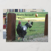 Doppelseitige Einladung, Rasterliste Einladung (Vorne/Hinten)