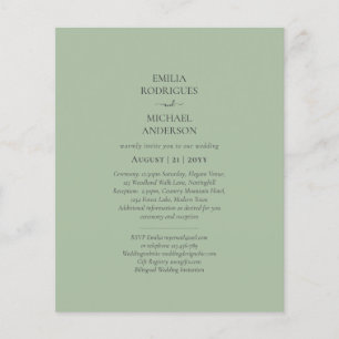 Doppelseitige, zweiseitige HAUSHALTSMITTEL-Monochr Flyer