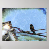 Doppelsicht Poster (Vorne)