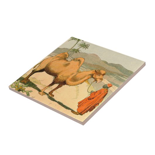 Doppelt-Buckel Kamel in der mongolischen Wüste Fliese (Seite)