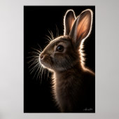 Doppelte Antennen Poster (Vorne)