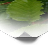 doppelte Blätter Poster (Ecke)