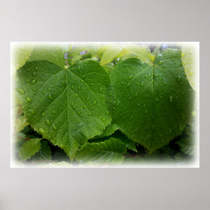 doppelte Blätter Poster