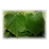 doppelte Blätter Poster (Vorderseite)