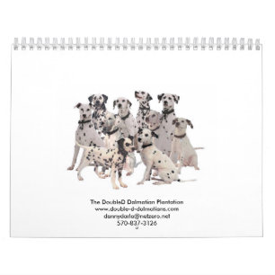 Doppelte d-Dalmatiner 2010 Kalender
