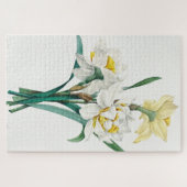 Doppelte Daffodil, Pierre-Joseph Redouté, 1827 Puzzle (Horizontal)