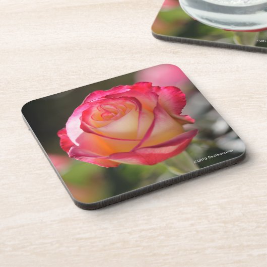 Doppelte Freuden-Rose Getränkeuntersetzer (Linke Seite)