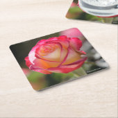 Doppelte Freuden-Rose Rechteckiger Pappuntersetzer (angewinkelt)