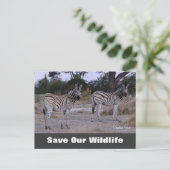 Doppelte Karte, Rett unsere Wildlife Postkarte (Stehend Vorderseite)
