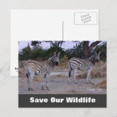 Doppelte Karte, Rett unsere Wildlife Postkarte (Vorne/Hinten)
