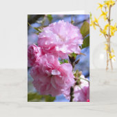 Doppelte Kirschblüten Karte (Gelbe Blume)