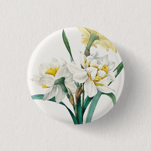 Doppelte Narzisse, Pierre-Joseph Redouté, 1827 Button (Vorderseite)