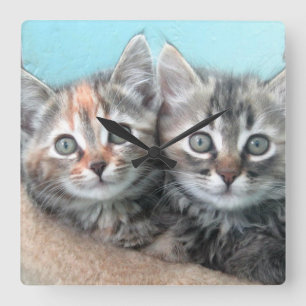 Doppelte Problem-Kätzchen-Uhr Quadratische Wanduhr