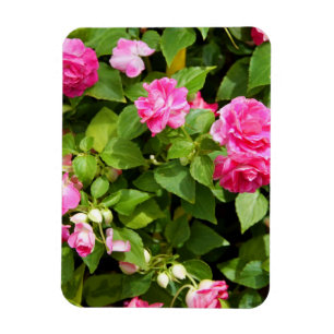 Doppelter Impatiens flexibler Magnet