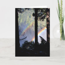 Doppelter Regenbogen durch Bäume