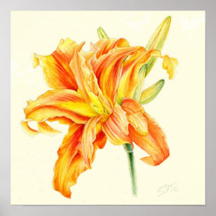 Doppelter Tagliliehemerocallis-Orange Watercolor Poster
