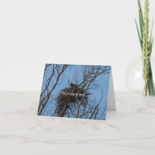 Doppeltes Eagle-Problem Denken Sie an Ihre Karte (Vorderseite)