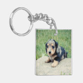 Doppeltes Foto-Andenken Adele 6wks Schlüsselanhänger (Vorderseite links)