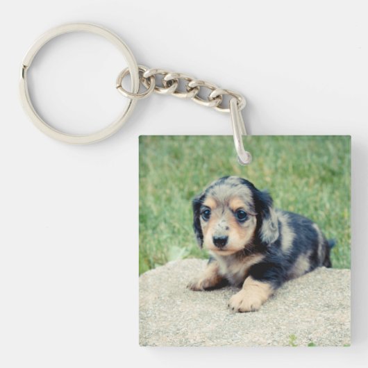 Doppeltes Foto-Andenken Adele 6wks Schlüsselanhänger (Vorderseite)