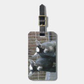 Doppeltes Problem Gepäckanhänger (Vorderseite vertikal)