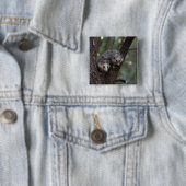 Doppeltes Problem in der Canopy: Zwei Possummen Button (Beispiel)