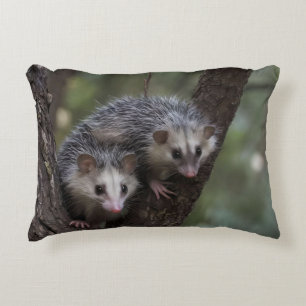 Doppeltes Problem in der Canopy: Zwei Possummen Dekokissen