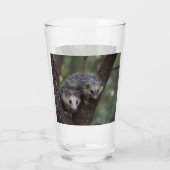 Doppeltes Problem in der Canopy: Zwei Possummen Glas (Rückseite)
