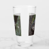 Doppeltes Problem in der Canopy: Zwei Possummen Glas (Links)