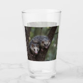 Doppeltes Problem in der Canopy: Zwei Possummen Glas (Vorderseite)