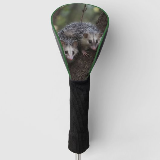 Doppeltes Problem in der Canopy: Zwei Possummen Golf Headcover (Vorderseite)