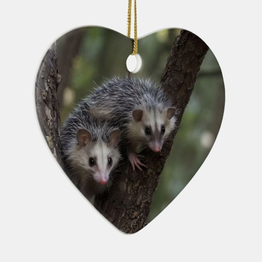 Doppeltes Problem in der Canopy: Zwei Possummen Keramik Ornament (Rechts)