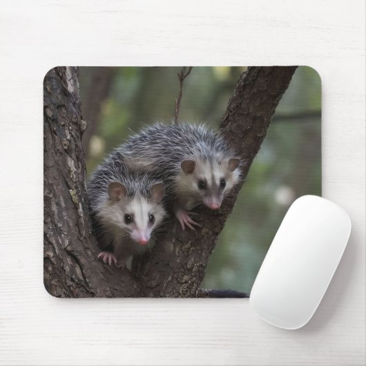 Doppeltes Problem in der Canopy: Zwei Possummen Mousepad (Mit Mouse)
