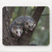 Doppeltes Problem in der Canopy: Zwei Possummen Mousepad (Vorne)